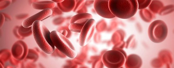 Hematology